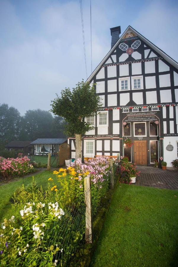 Pension Alois Hennecke Schmallenberg Bagian luar foto